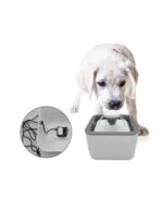 Fantana De Apa Pentru Animale De Companie